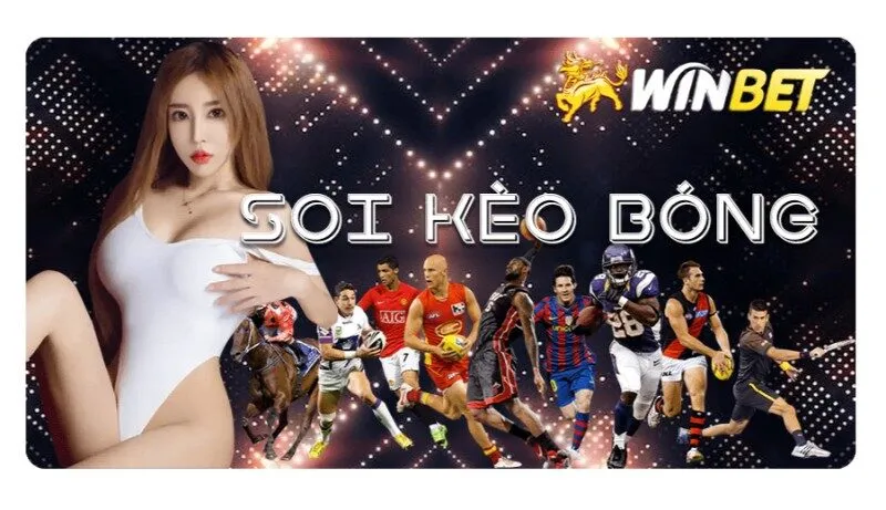 Nhà cái Winbet